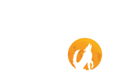 Welcome To The Show